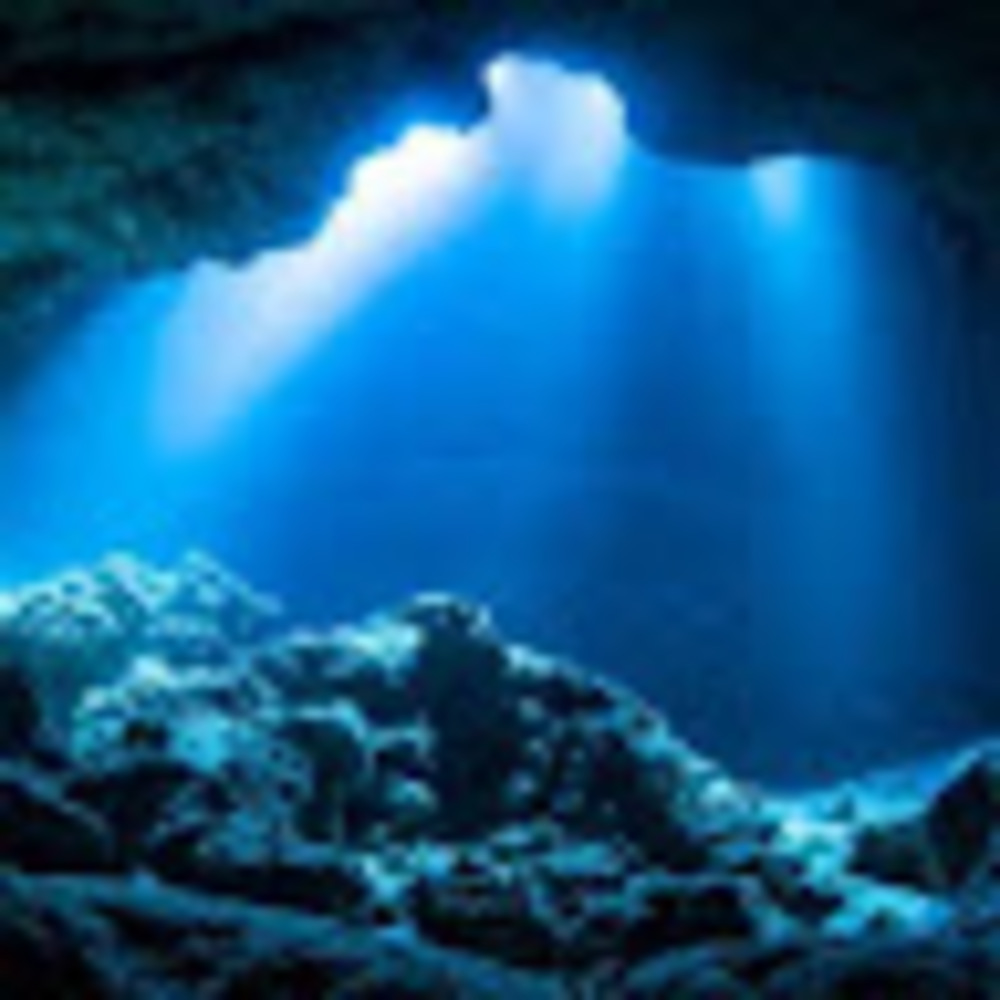 Meet your Posher, Ava